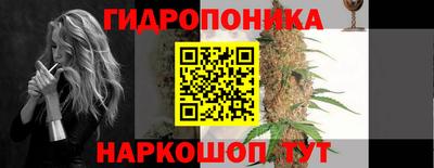 jwh Будённовск