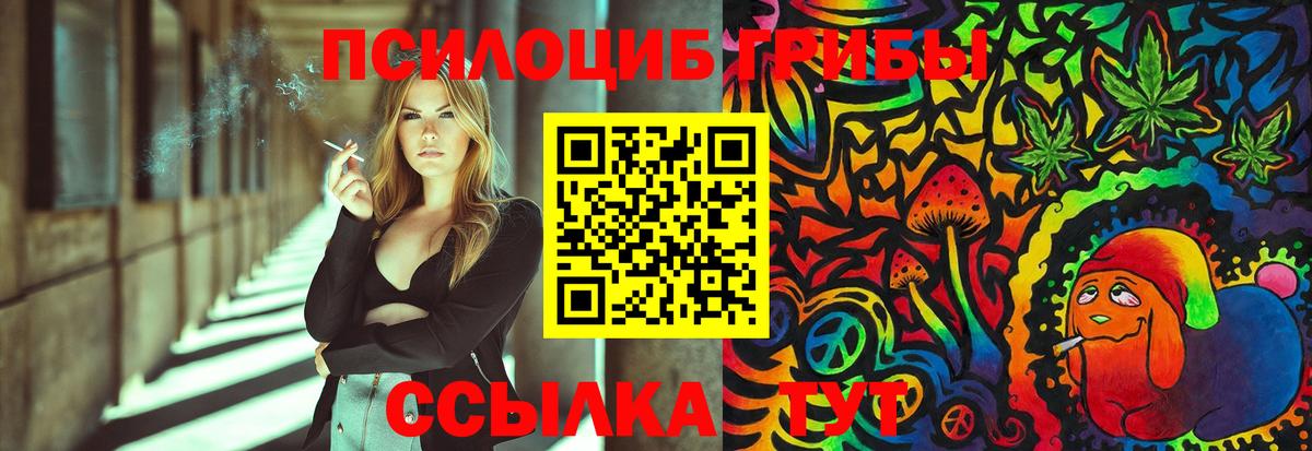Псилоцибиновые грибы GOLDEN TEACHER Норильск